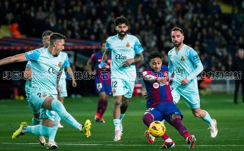 绿茵场上的梦想与挑战：石嘴山赛事运动木地板的魅力和创新